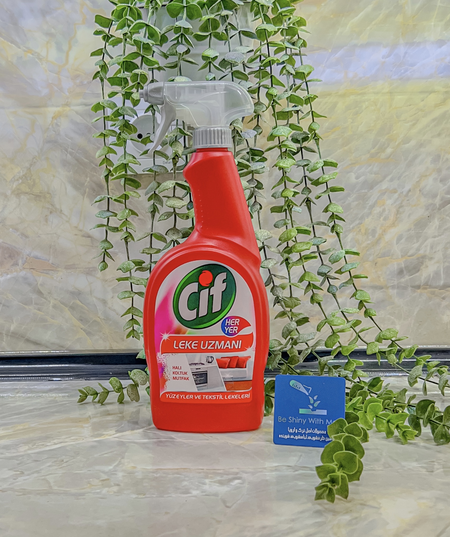 سیف همه کاره ی سطوح قرمز