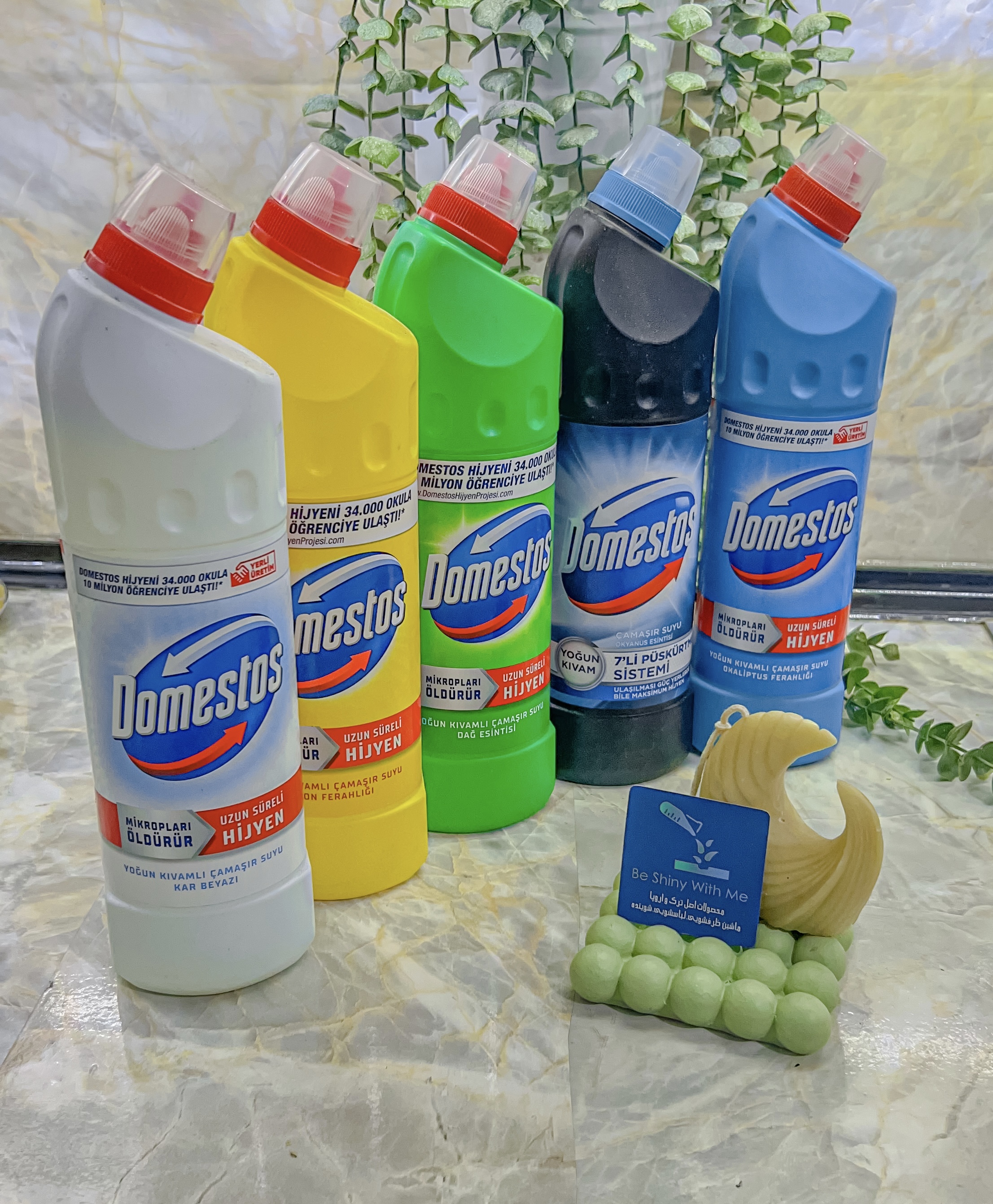 جرمگیر دامستوس (پنج رنگ)