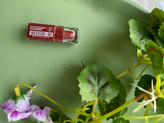 رژ لب جامد مات گلدن رز مینی