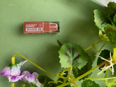 رژ لب جامد مات گلدن رز مینی